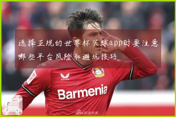 选择正规的世界杯买球app时要注意哪些平台风险和避坑技巧