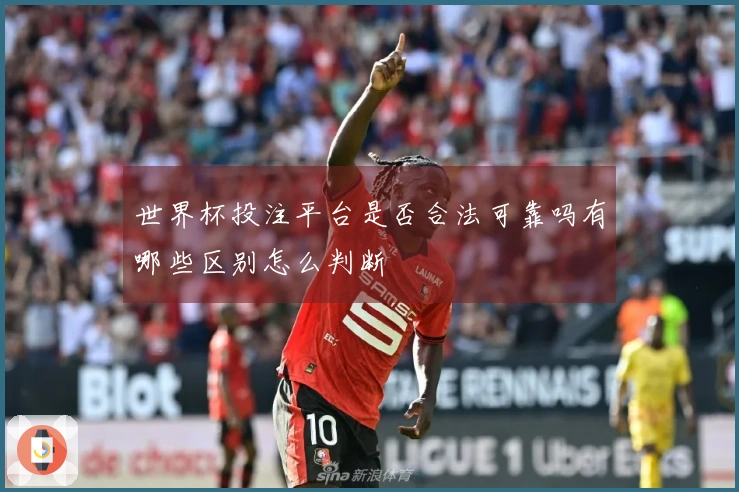 世界杯投注平台是否合法可靠吗有哪些区别怎么判断