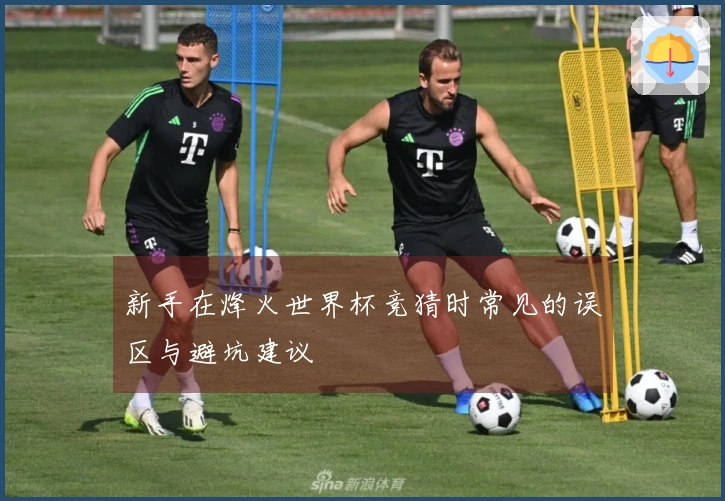 新手在烽火世界杯竞猜时常见的误区与避坑建议