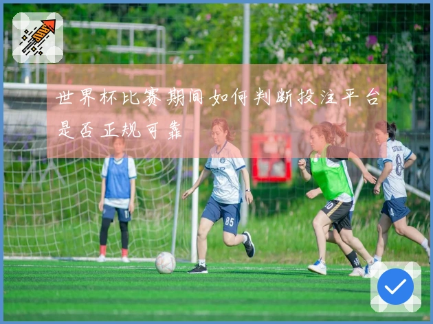 世界杯比赛期间如何判断投注平台是否正规可靠