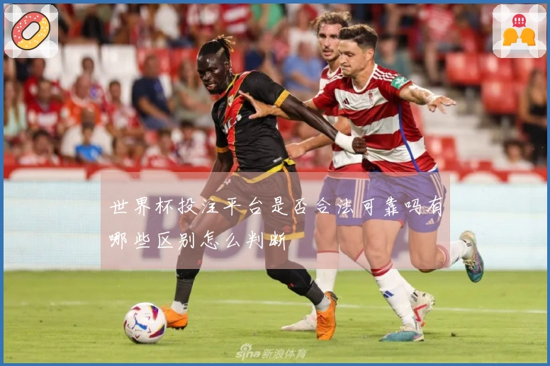 世界杯投注平台是否合法可靠吗有哪些区别怎么判断