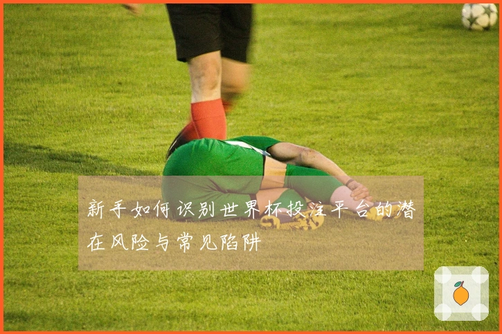 新手如何识别世界杯投注平台的潜在风险与常见陷阱