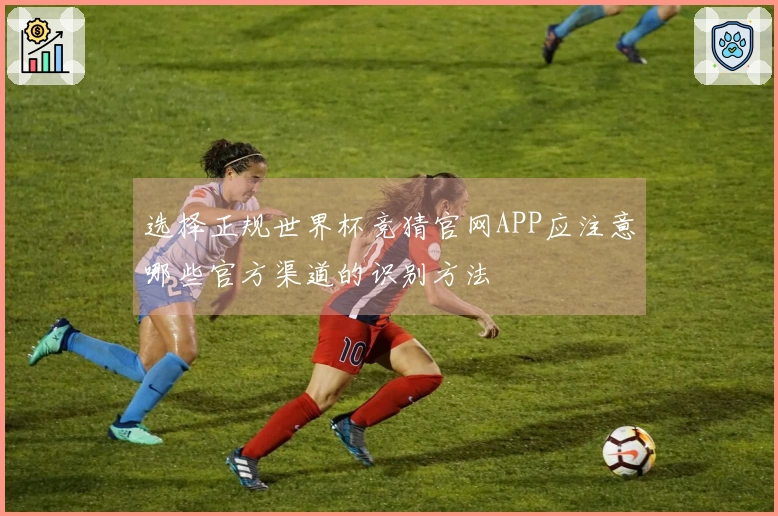 选择正规世界杯竞猜官网APP应注意哪些官方渠道的识别方法