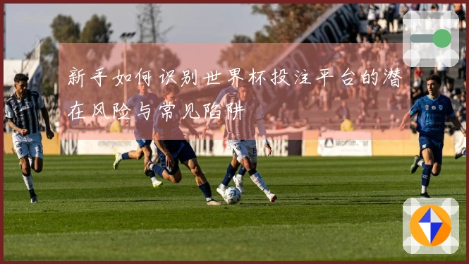 新手如何识别世界杯投注平台的潜在风险与常见陷阱