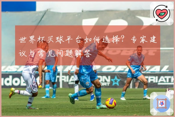 世界杯买球平台如何选择？专家建议与常见问题解答