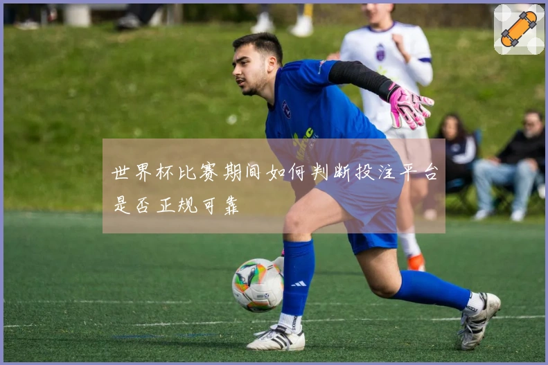 世界杯比赛期间如何判断投注平台是否正规可靠